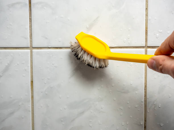 Best Water Damage Restoration  in South Gate Ridge, FL