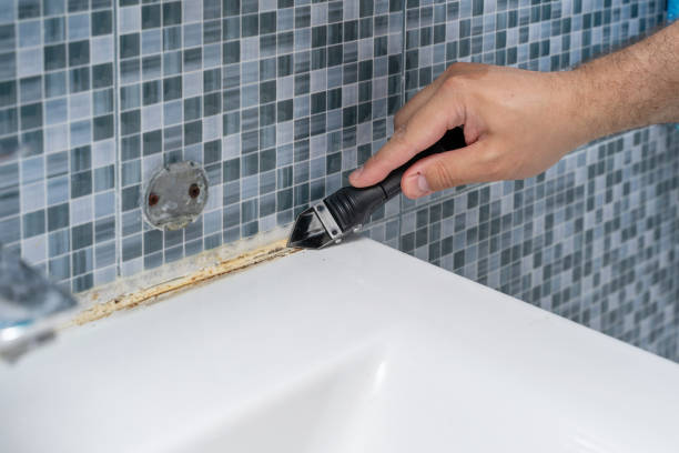 Best Toxic Mold Removal  in South Gate Ridge, FL